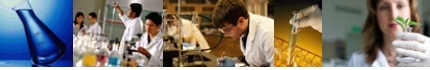 Carrera de Química