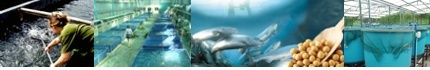 Carrera Ingenieria en Acuicultura