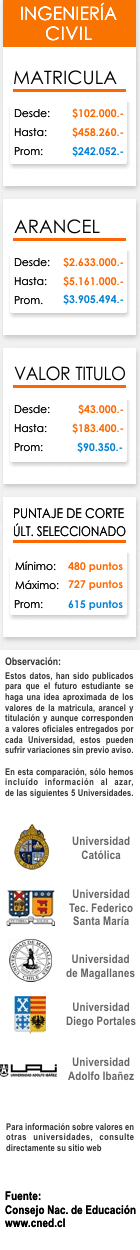 Ficha Ingenier&iacute;a Civil