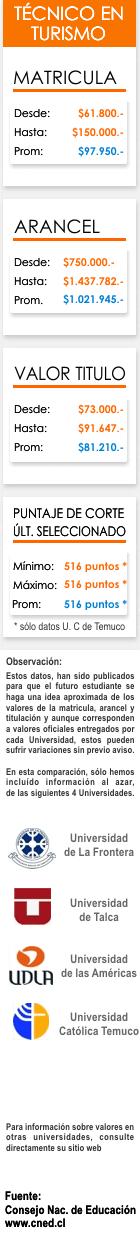 Ficha T&eacute;cnico Turismo